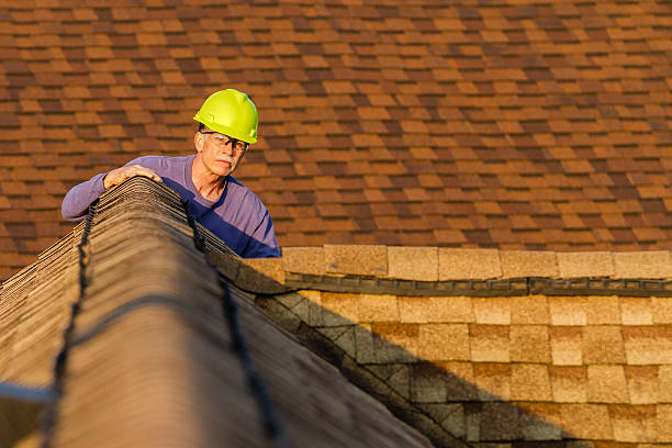 Best Roof Maintenance Services  in Hawley, MN